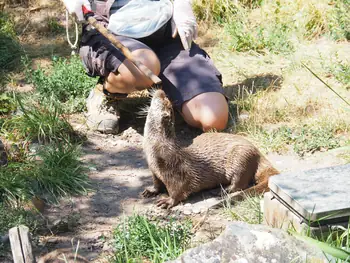 NaturOparC Hunawihr, Alsace (France)